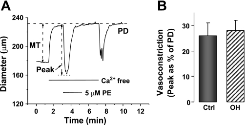 Fig. 6.