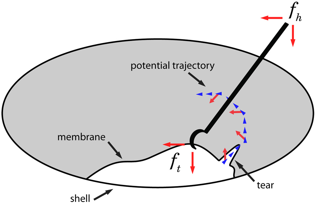 Fig. 7