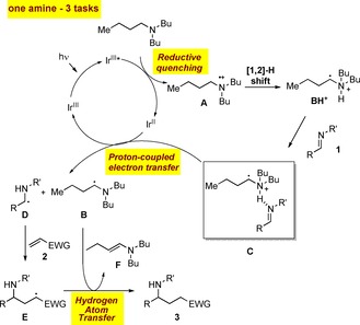 Scheme 1