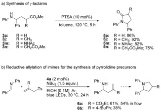 Scheme 4