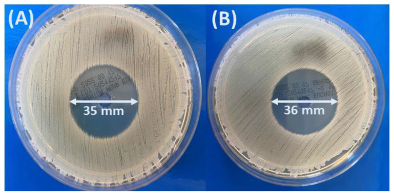 Figure 13