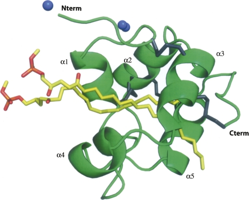 Figure 3.