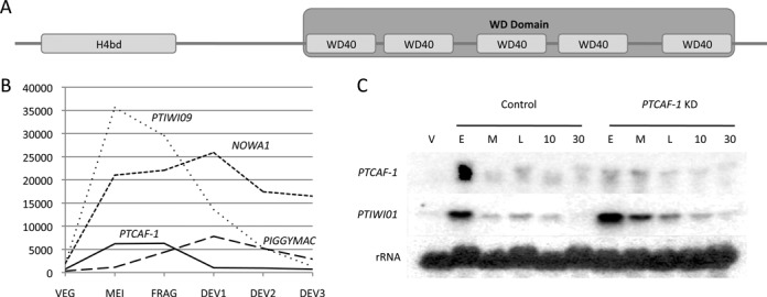 Figure 1.