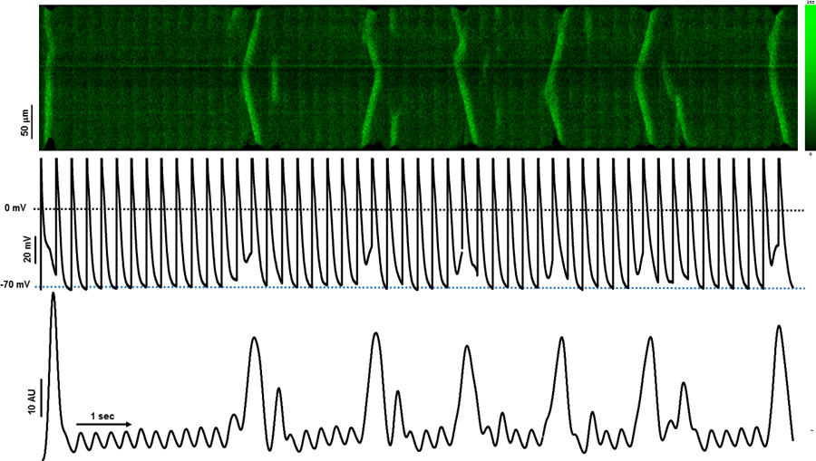 Figure 1.