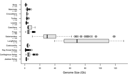 FIG. 1.—