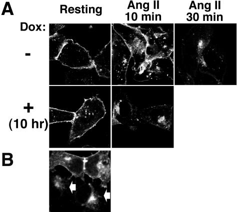 Figure 10.