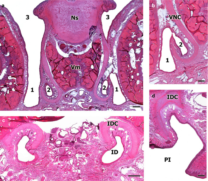 FIGURE 3