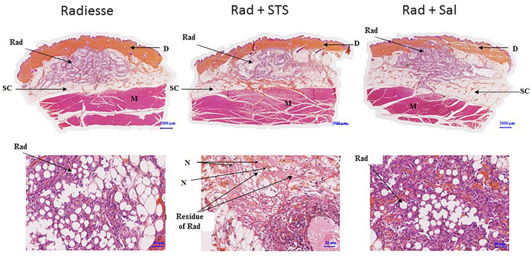 Figure 13