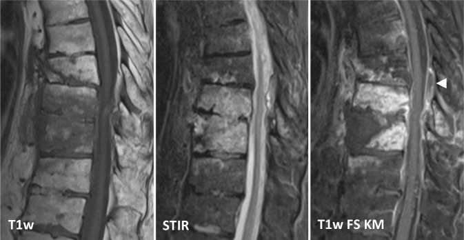 graphic file with name 117_2021_814_Fig3_HTML.jpg