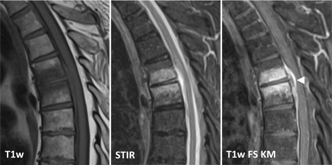 graphic file with name 117_2021_814_Fig2_HTML.jpg