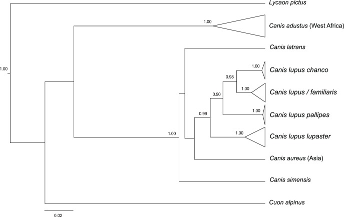 Figure 2