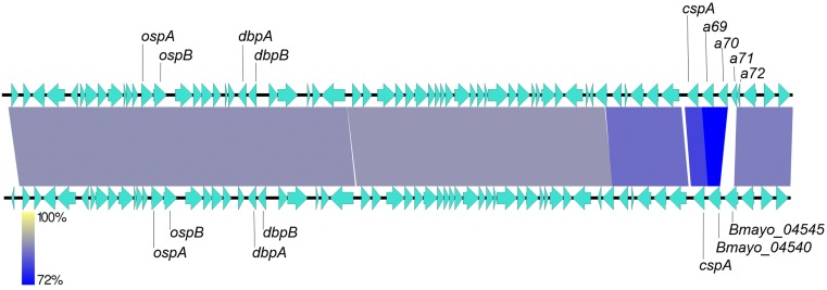 Fig 5