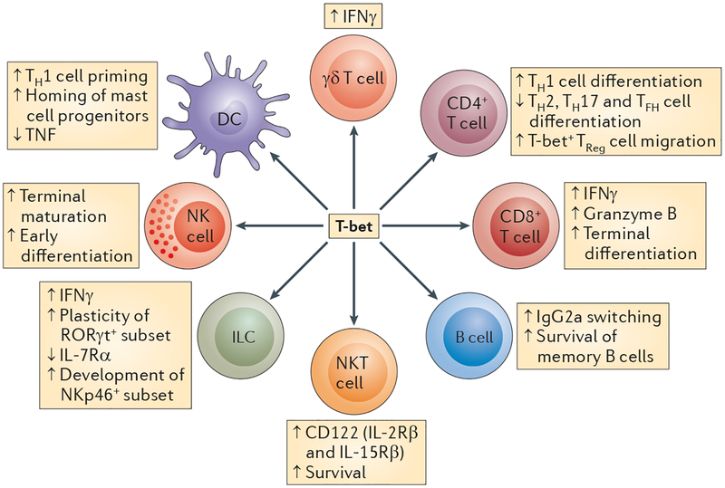 Figure 1 |