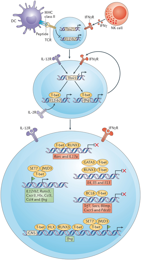 Figure 4 |