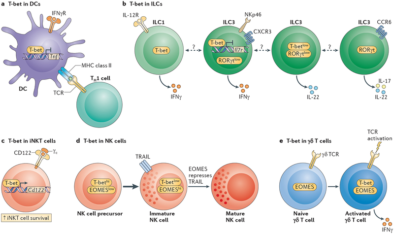 Figure 2 |