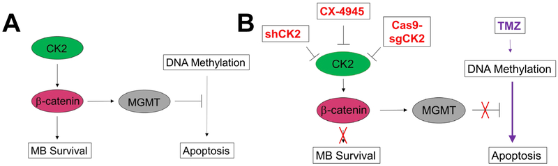 Figure 7.