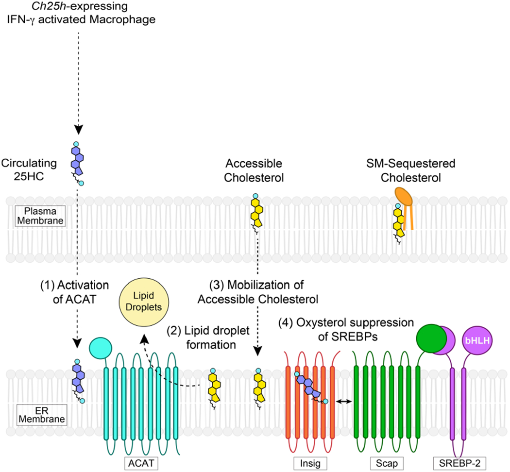 Extended Data Fig. 9 |