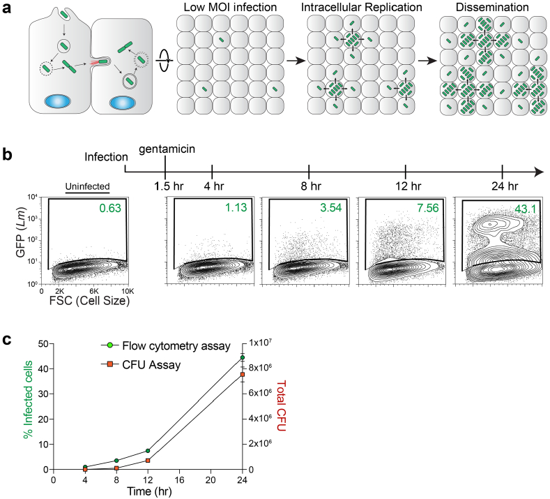 Extended Data Fig. 1 |