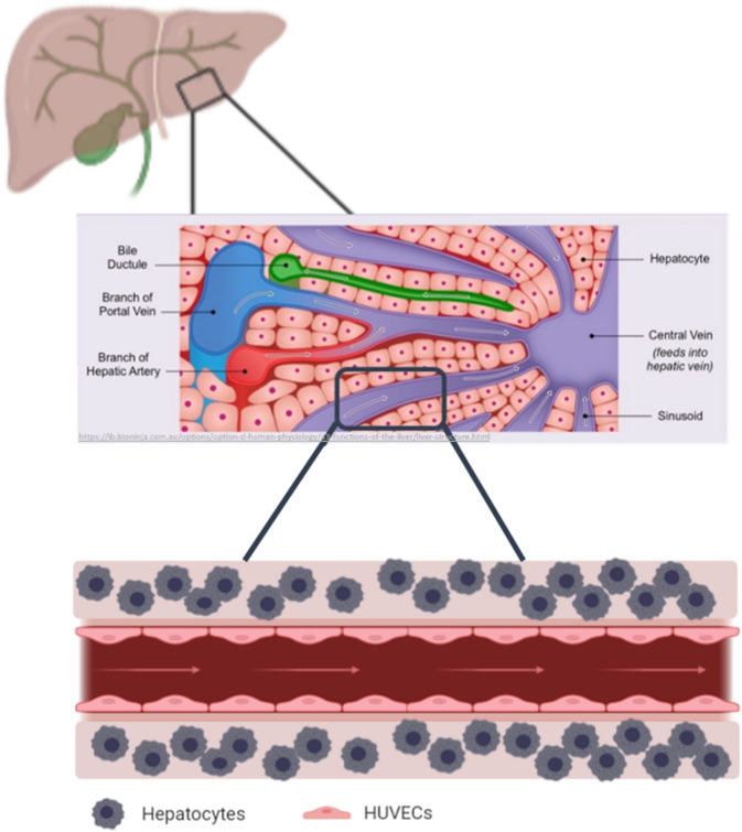 Figure 16