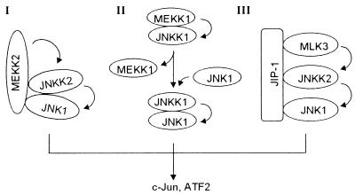 FIG. 7