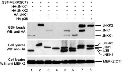 FIG. 5