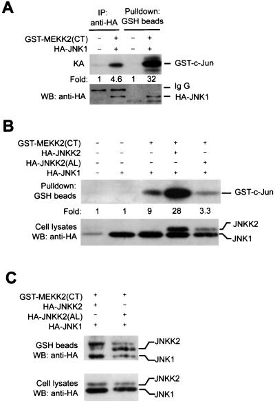 FIG. 6