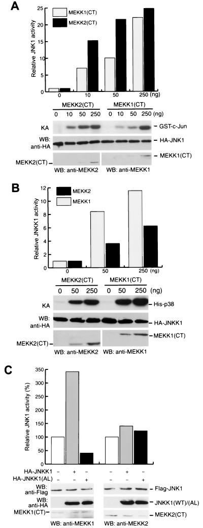 FIG. 1