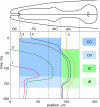 Fig. 3.