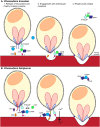 Fig 6