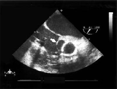 graphic file with name 7FF3.jpg