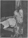 548-4