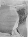 548-4