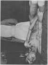 548-4