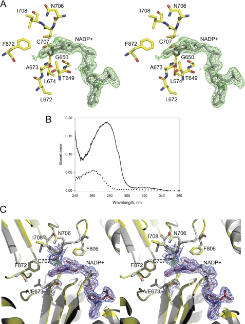 FIGURE 2.