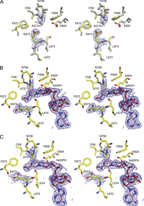 FIGURE 6.