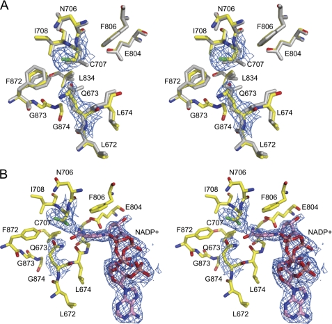 FIGURE 4.