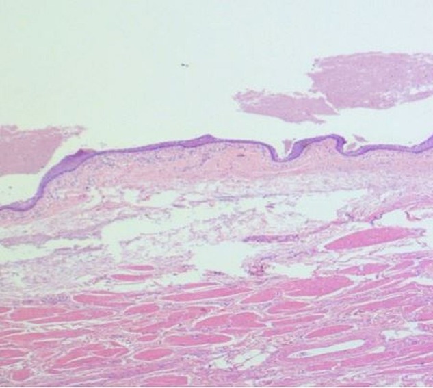 Figure 4