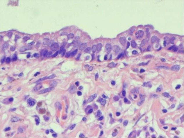Figure 5