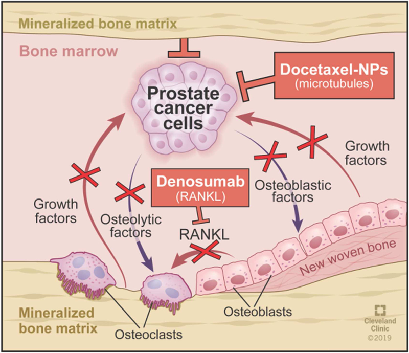 Figure 9: