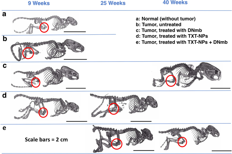 Figure 6: