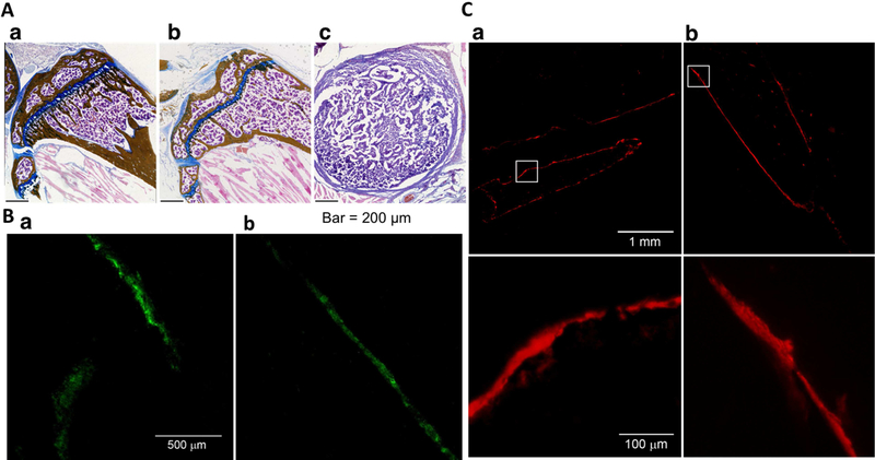 Figure 7: