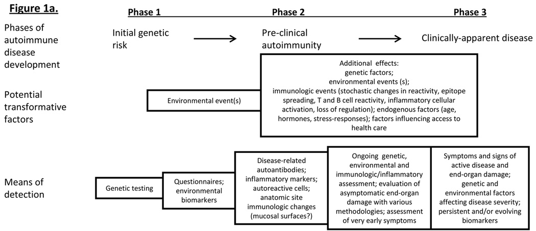 Figure 1*