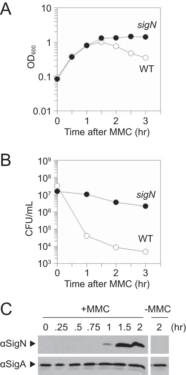 FIG 1