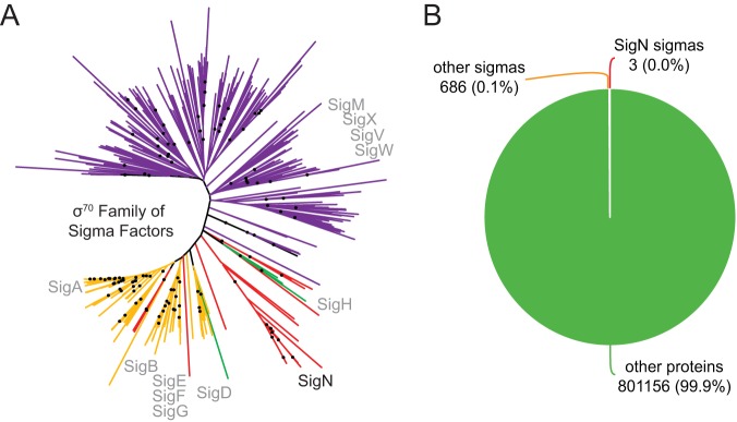 FIG 6