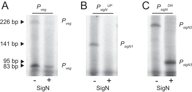 FIG 5