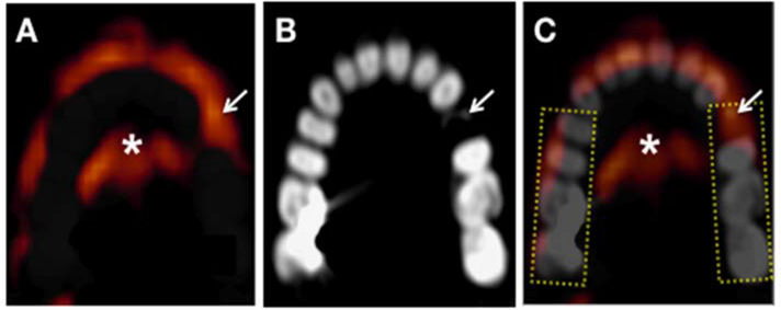 Figure 2: