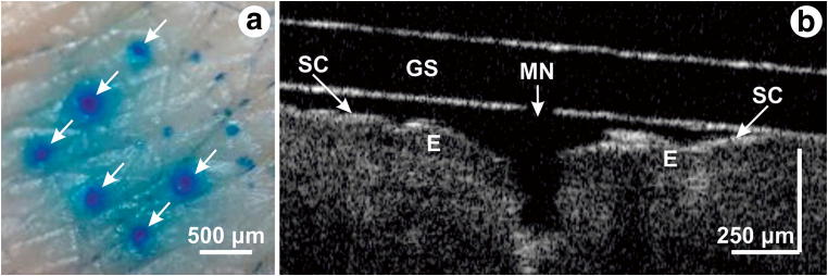 Fig. 6