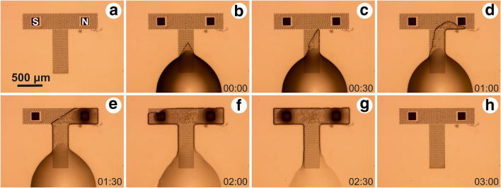 Fig. 3