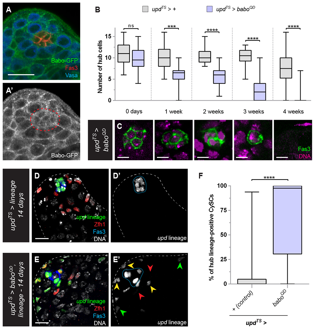 Figure 3: