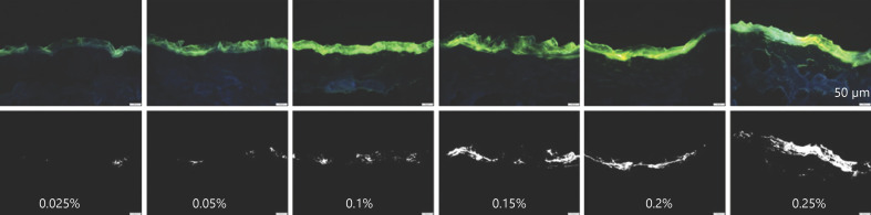 Fig. 9